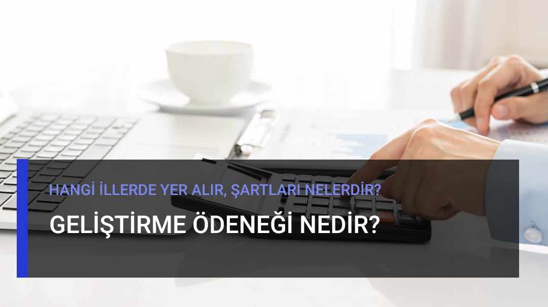 Geliştirme Ödeneği Nedir