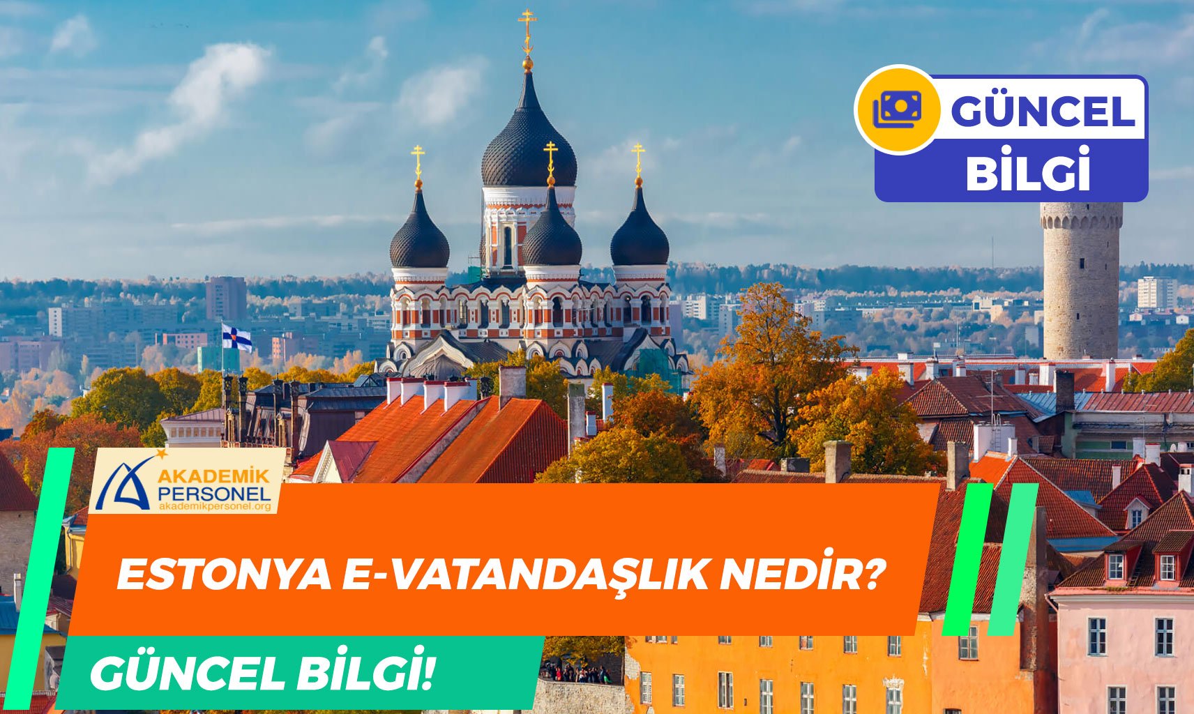 Estonya E – Vatandaşlık Nedir, Nasıl Alınır?