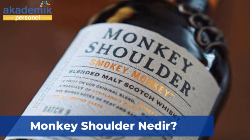 monkey shoulder fiyat