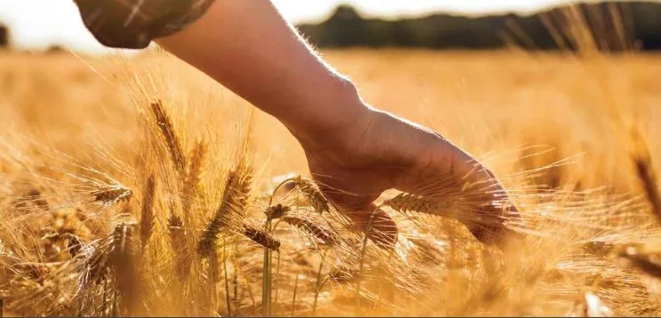 Dünyanın En Eski Meslekleri